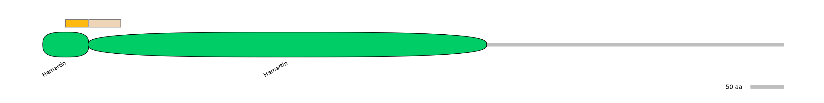 HsaINT0173493-EXC