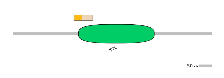HsaINT0174684-EXC