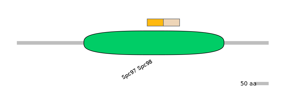 HsaINT0175386-EXC