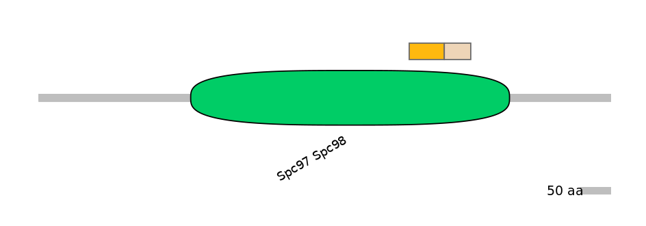 HsaINT0175388-EXC