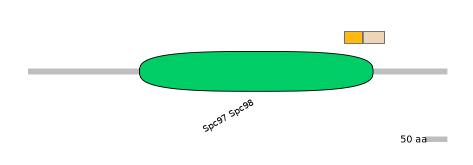 HsaINT0175390-EXC