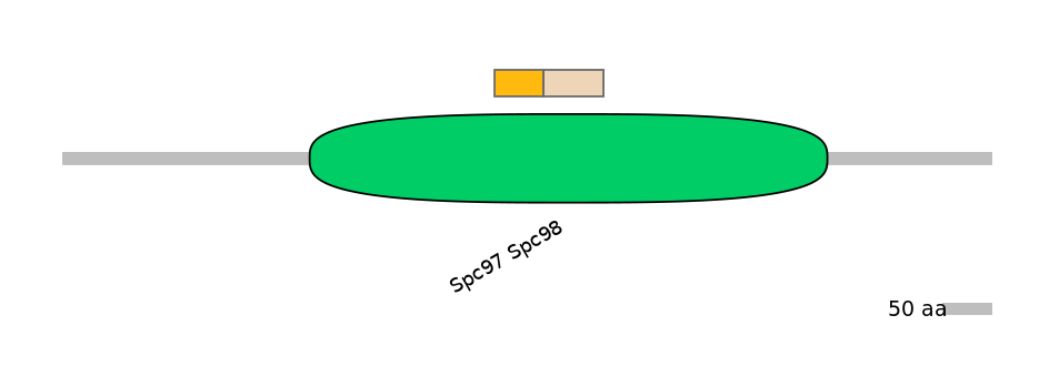 HsaINT0175401-EXC