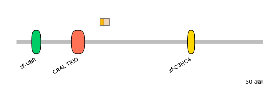 HsaINT0176807-EXC