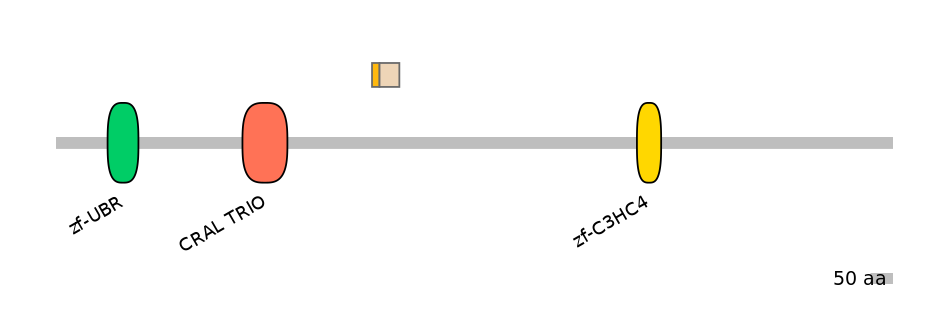 HsaINT0176809-EXC