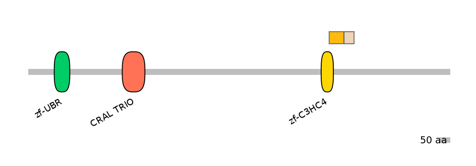 HsaINT0176823-EXC
