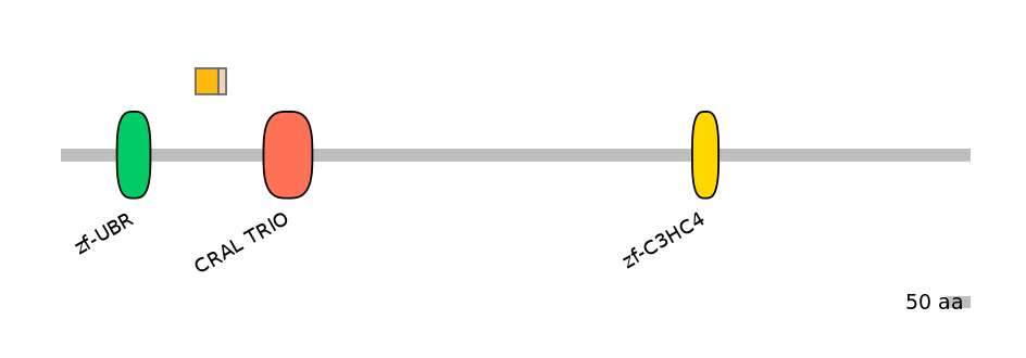 HsaINT0176835-EXC