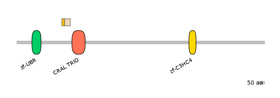 HsaINT0176837-EXC