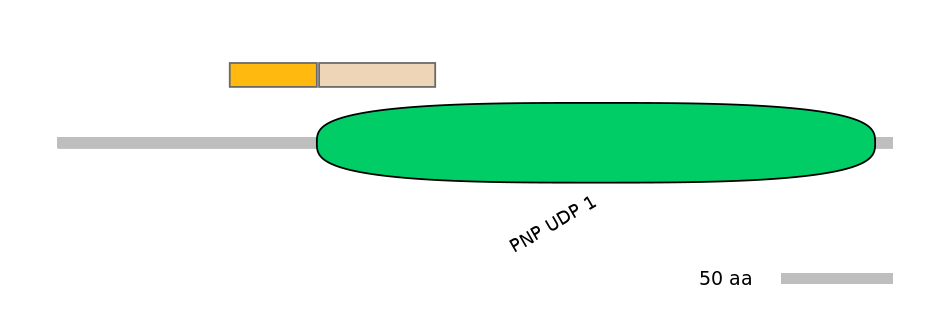 HsaINT0178179-EXC