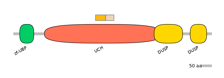 HsaINT0178675-EXC