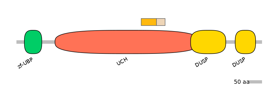 HsaINT0178677-EXC