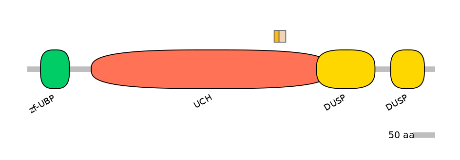 HsaINT0178679-EXC