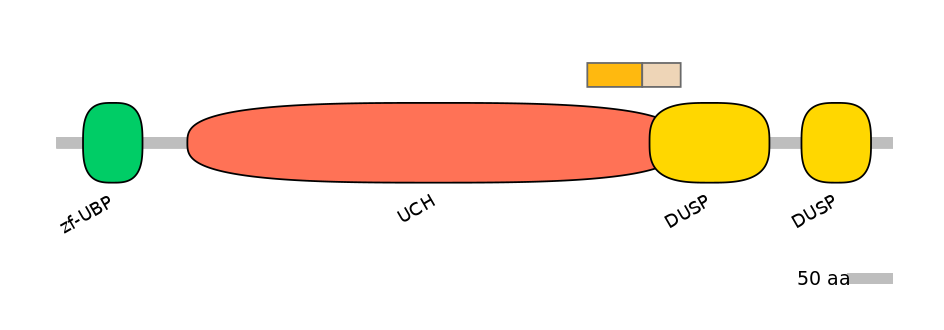 HsaINT0178681-EXC