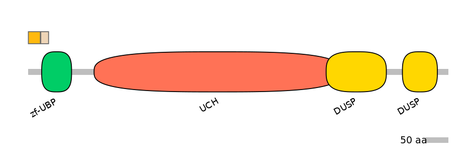 HsaINT0178690-EXC