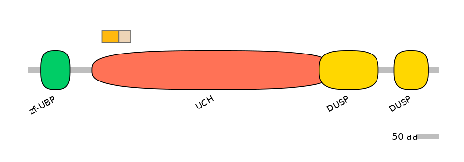 HsaINT0178696-EXC