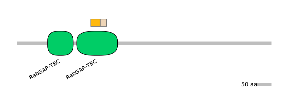 HsaINT0179348-EXC