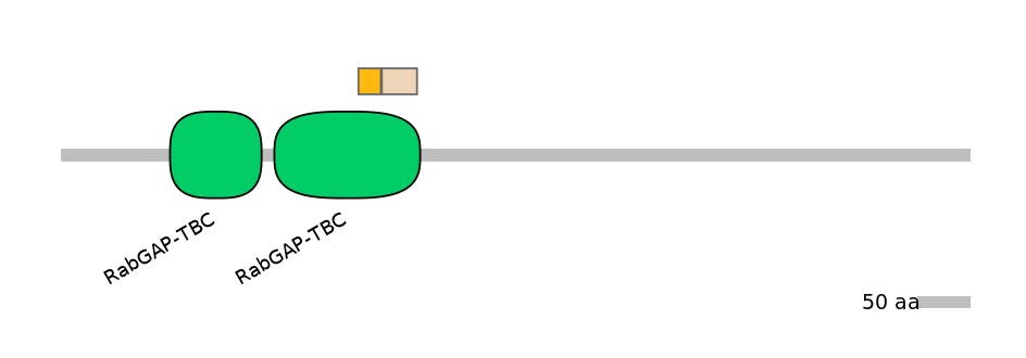 HsaINT0179349-EXC
