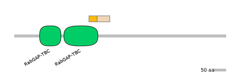 HsaINT0179350-EXC
