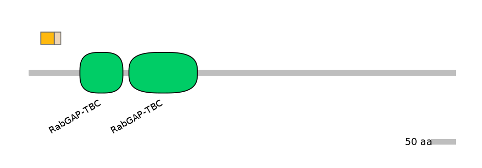 HsaINT0179353-EXC