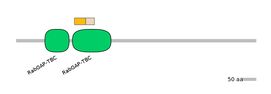 HsaINT0179359-EXC