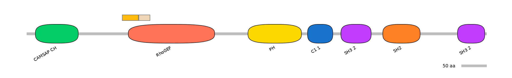 HsaINT0179951-EXC