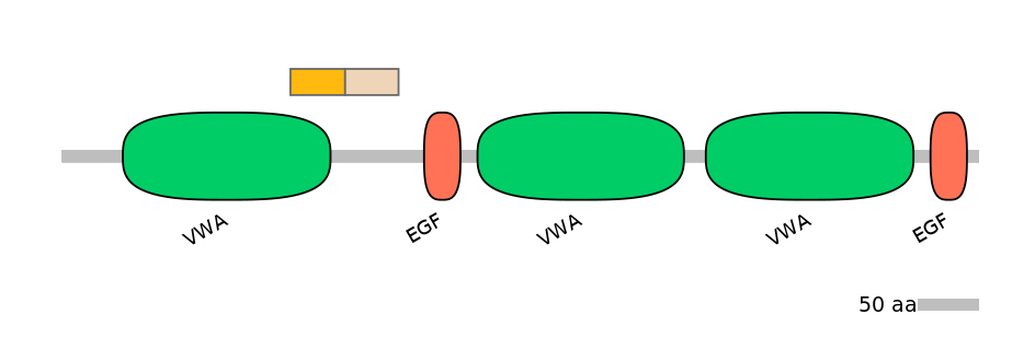 HsaINT0181158-EXC