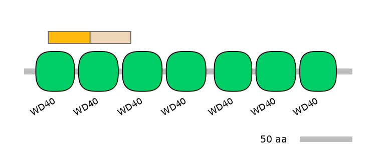 HsaINT0182092-EXC