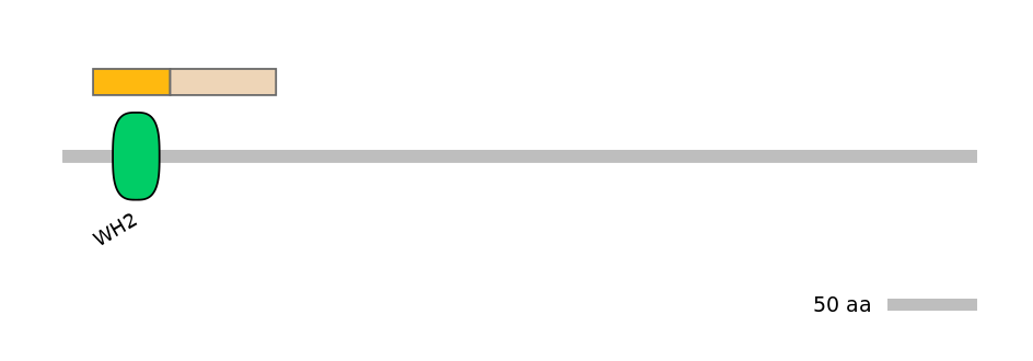 HsaINT0182989-EXC