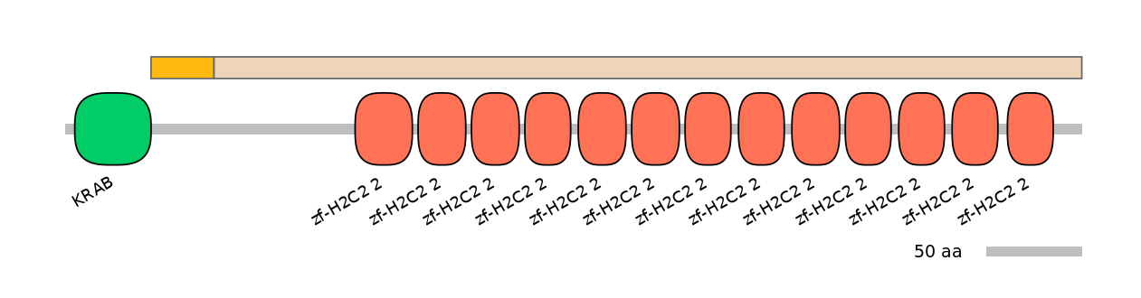 HsaINT0185499-EXC