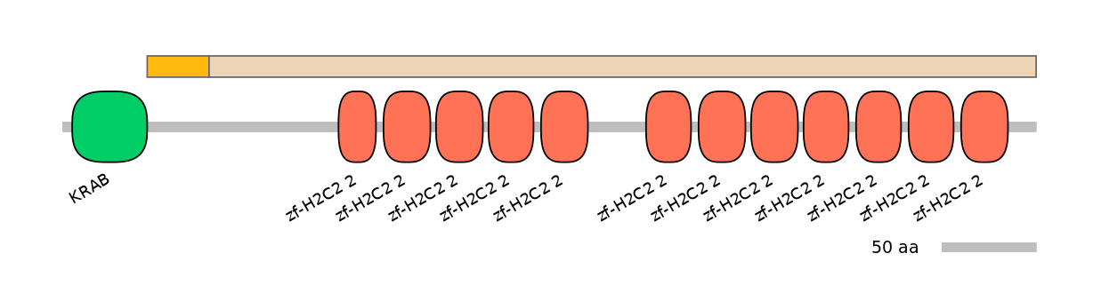 HsaINT0185521-EXC