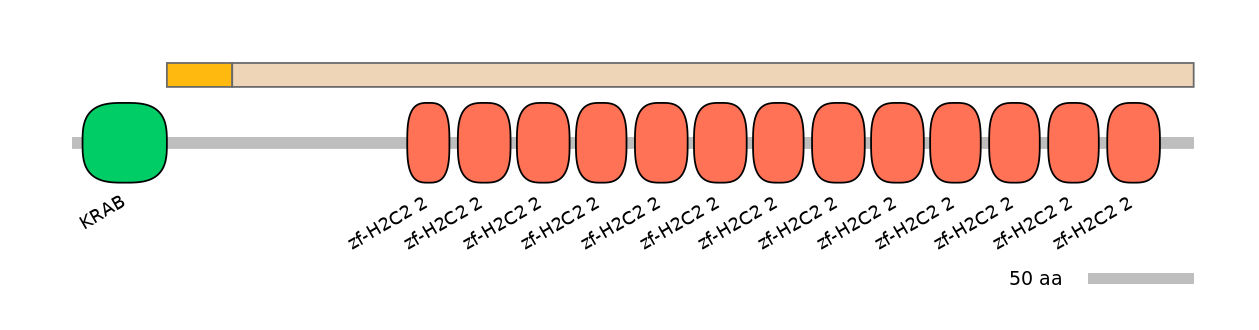 HsaINT0185548-EXC