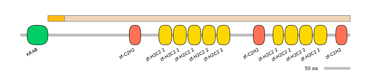 HsaINT0185551-EXC