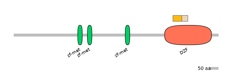 HsaINT0185595-EXC