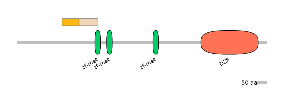 HsaINT0185603-EXC