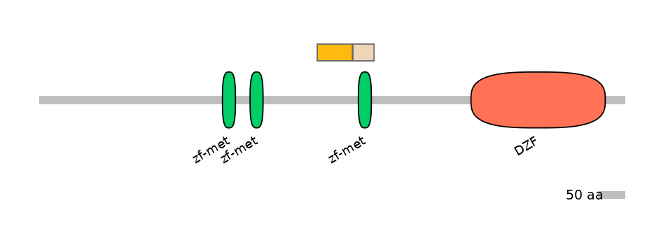 HsaINT0185607-EXC