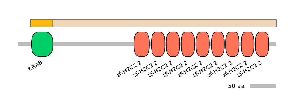 HsaINT0185843-EXC