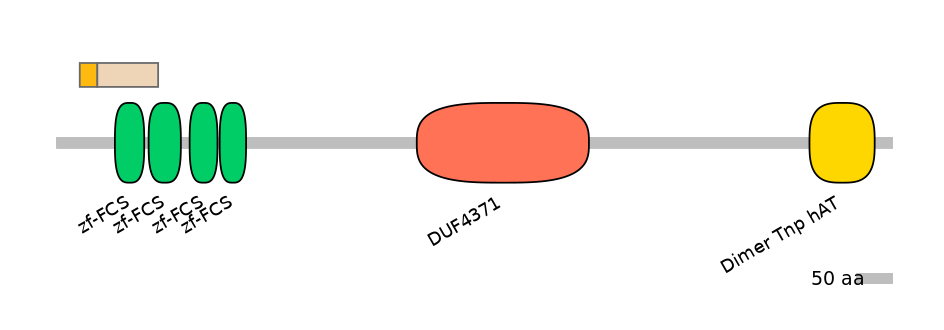 HsaINT0185965-EXC