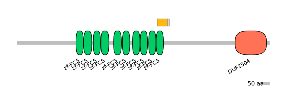 HsaINT0185978-EXC