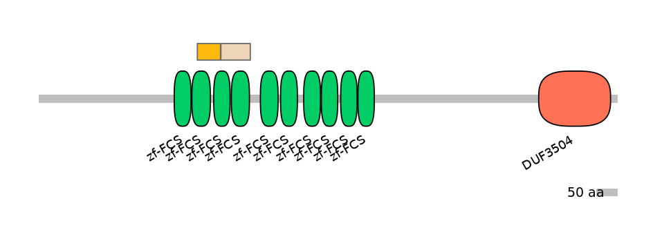 HsaINT0185994-EXC