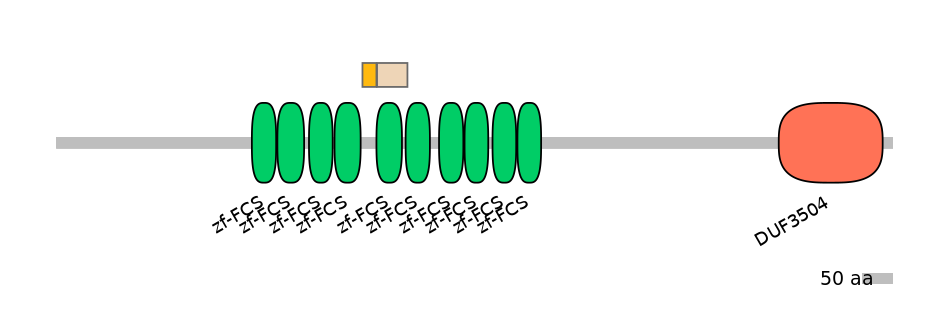 HsaINT0185996-EXC