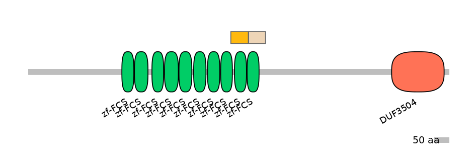 HsaINT0186002-EXC