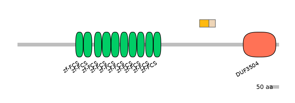 HsaINT0186007-EXC
