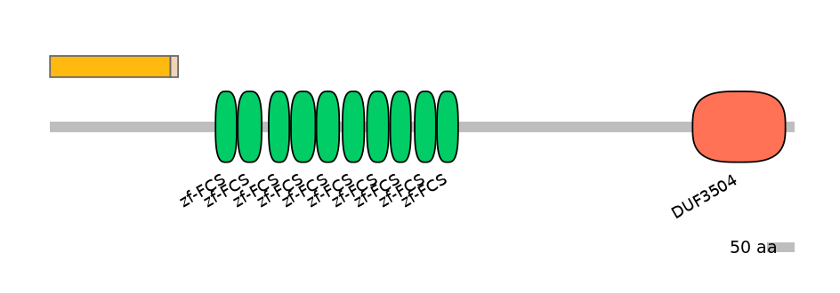 HsaINT0186016-EXC