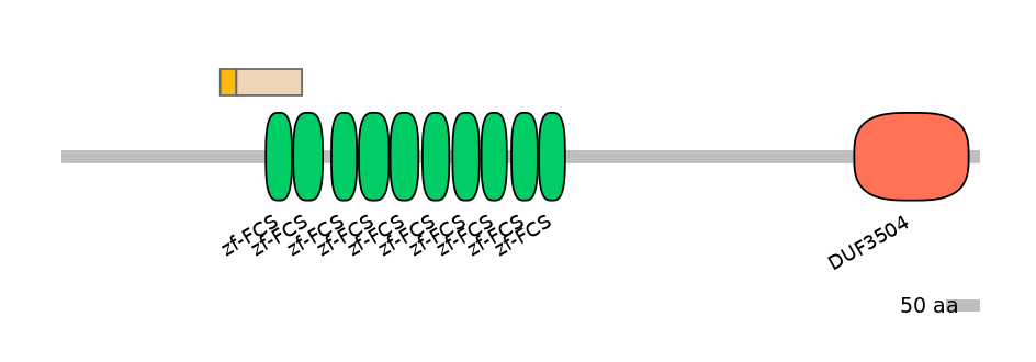 HsaINT0186018-EXC
