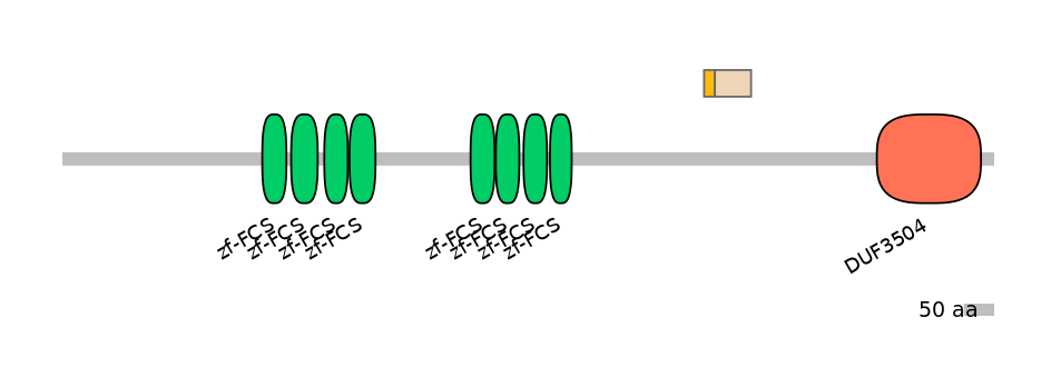HsaINT0186035-EXC
