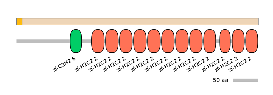 HsaINT0186173-EXC
