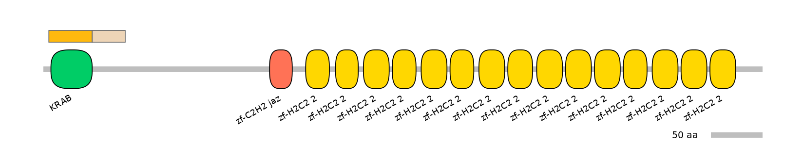 HsaINT0186177-EXC