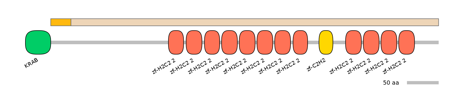 HsaINT0186198-EXC
