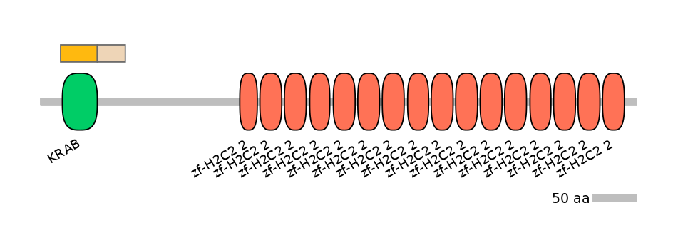 HsaINT0186202-EXC