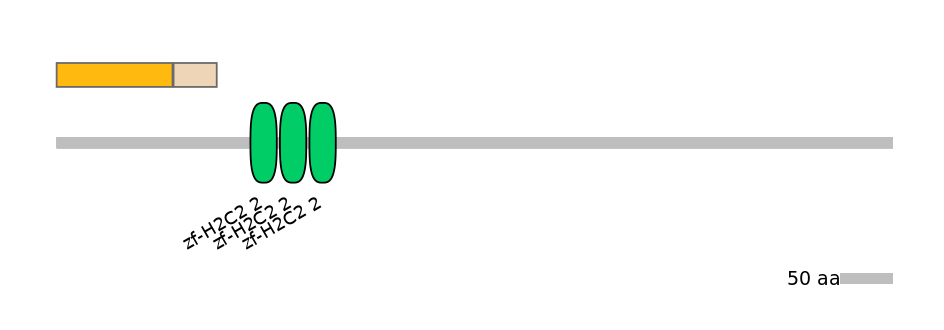 HsaINT0186259-EXC