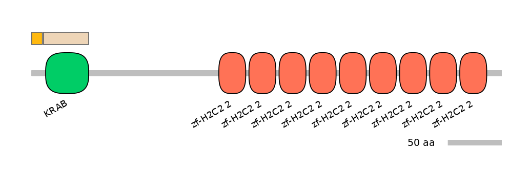 HsaINT0186264-EXC